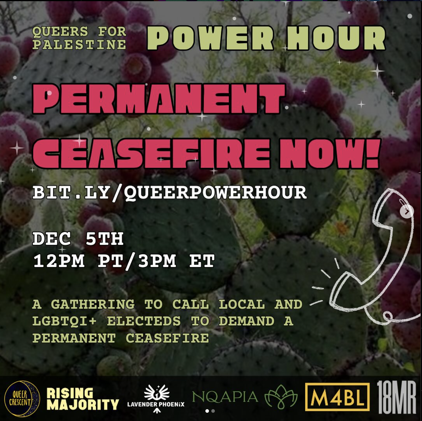 Queers for Palestine: Power Hour